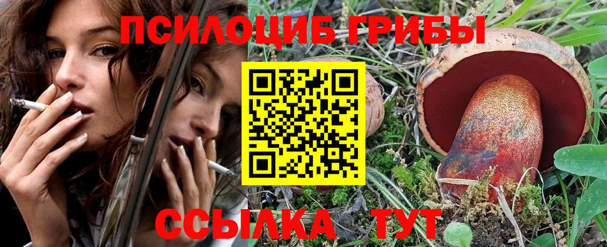 Галлюциногенные грибы GOLDEN TEACHER  что такое   Гусиноозёрск  Вход с VPN 